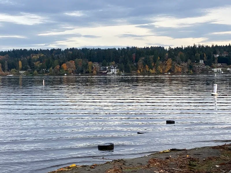 Lyon Creek Waterfront Preserve nature preserve in Lake Forest Park, WA