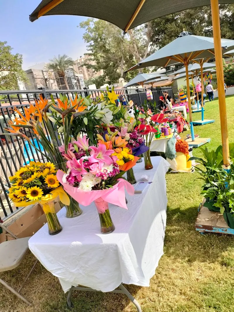 Maadi House sports activity location in Maadi, Cairo