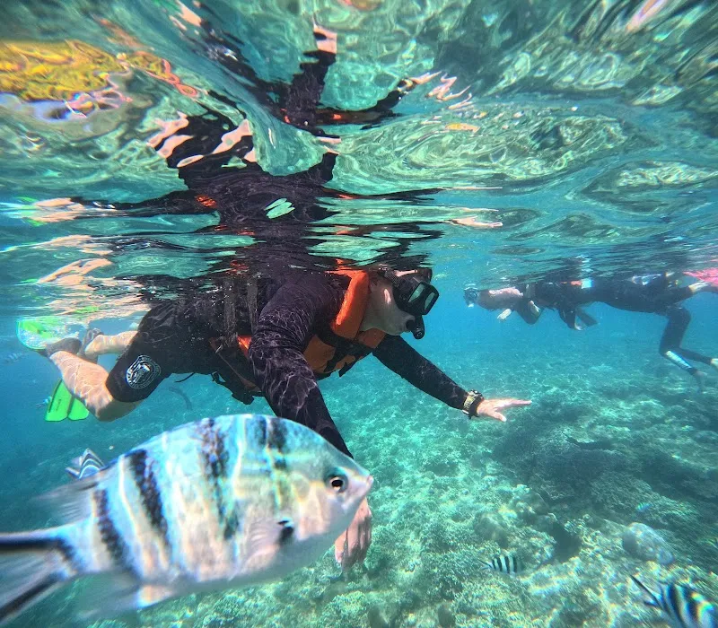 Made Dana Snorkeling Service Padangbai tour agency in Padang Bai, Bali