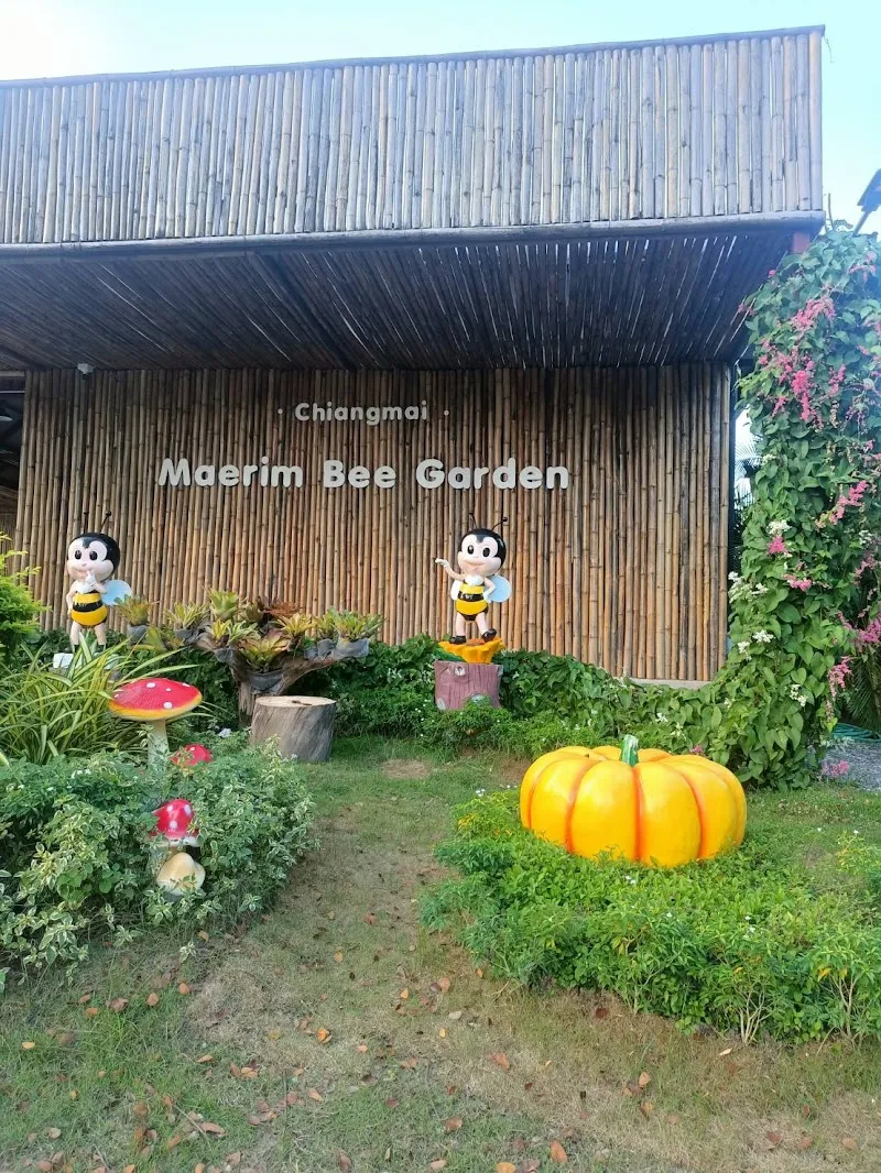 Mae Rim Bike Park sports in Mae Rim, CM