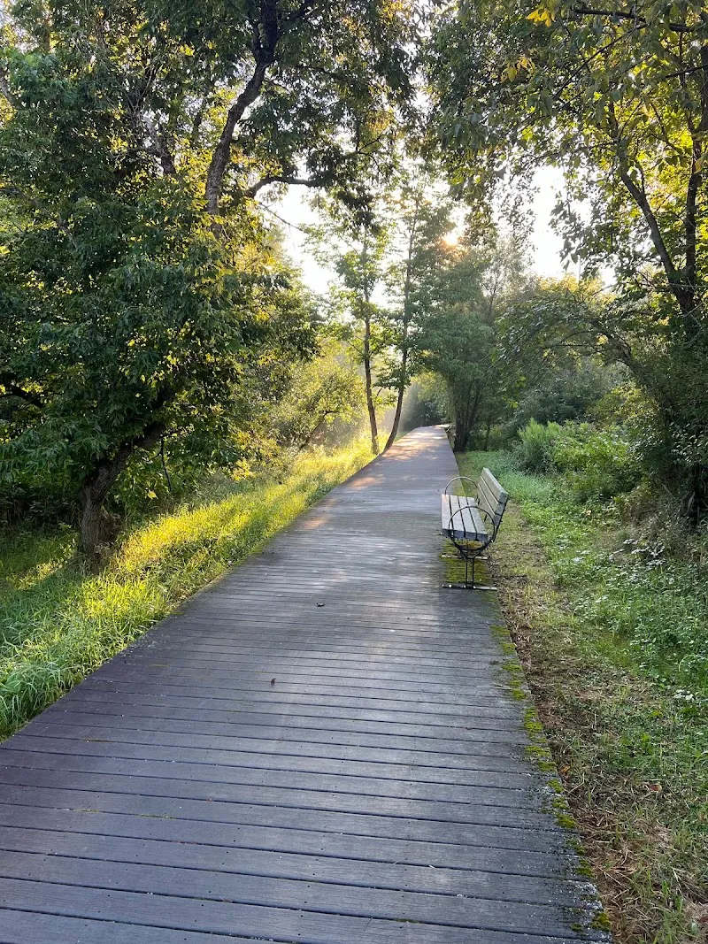 Majors Park park in East Aurora, NY