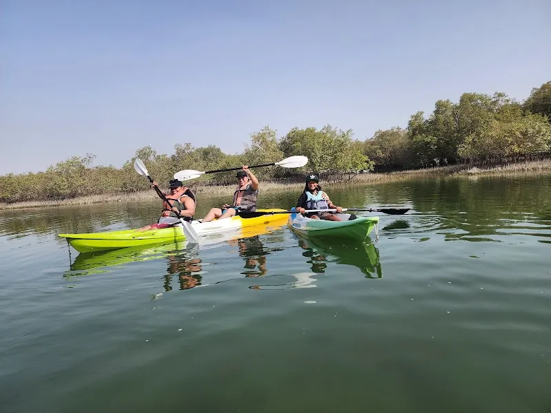 Mangrove Marine National Park nature preserve in Abu Dhabi, AUH