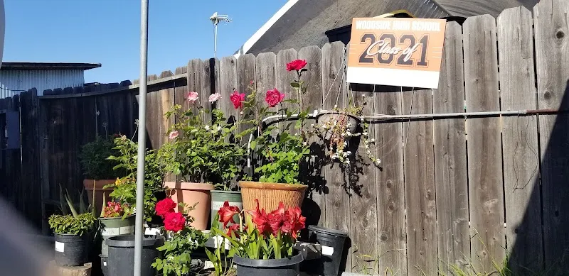 Maple Street route in Redwood City, CA