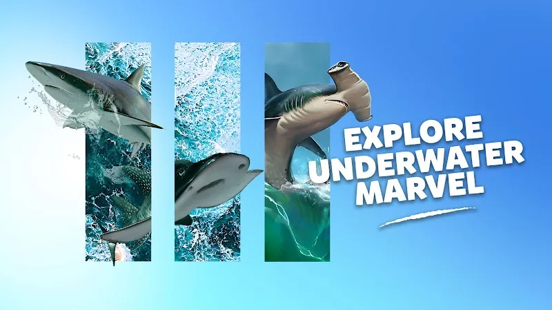 Marine Safari Bali aquarium in Bali, BA