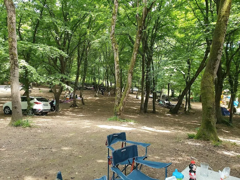 Maslak Nature Reserve Path nature in Maslak, Istanbul