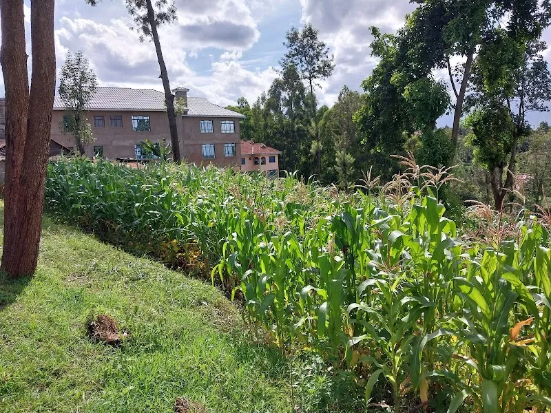 Matasia Valley Park park in Rongai, Nairobi