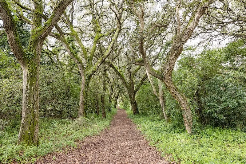 Matinha de Queluz Park park in Queluz, Sintra