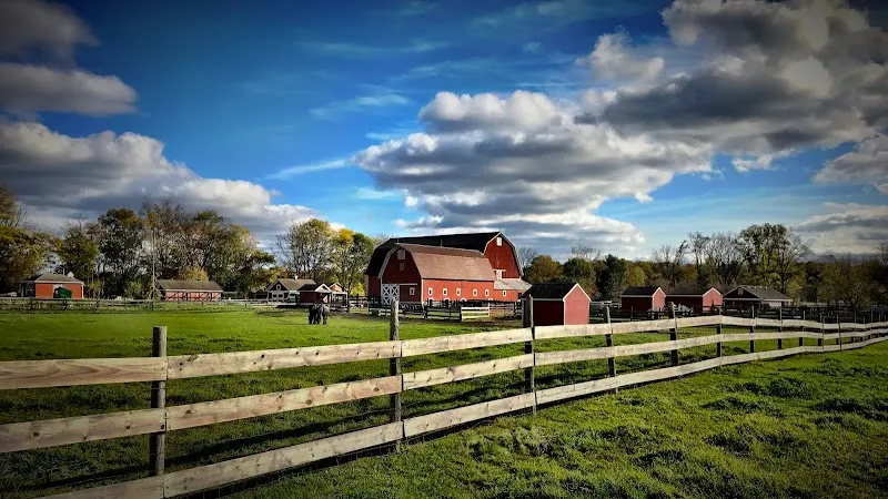 Maybury Farm farm in Northville, MI