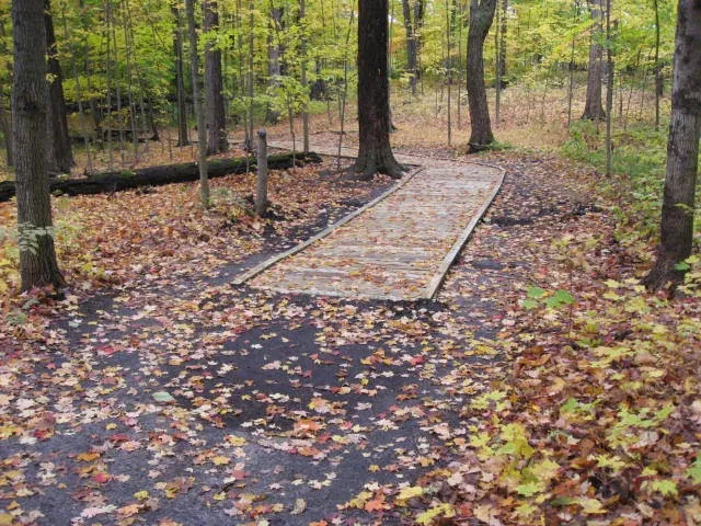 Maybury State Park state park in Northville, MI