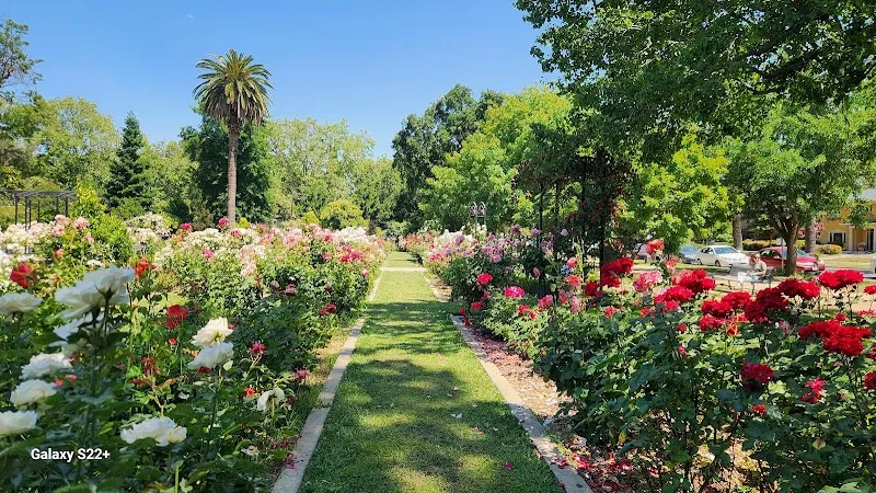 McKinley Rose Garden garden in East Sacramento, CA