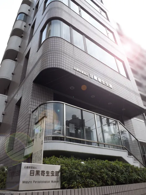 Meguro Parasitological Museum tourist attraction in Meguro, Tokyo