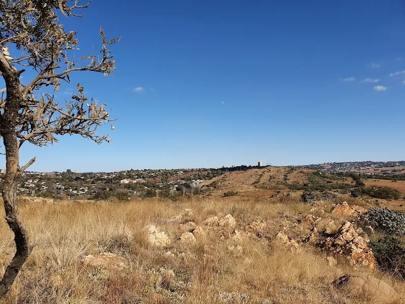 Melville Koppies Nature Reserve (nearby extension) nature in Bedfordview, GP