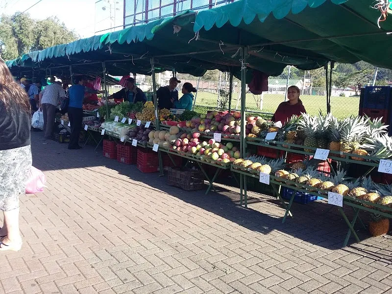Mercado de San Isidro attraction in San Isidro de Heredia, HD