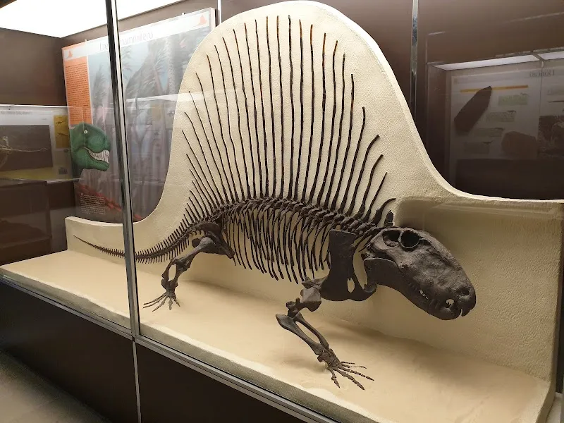 Milan Natural History Museum tourist attraction in Milan, LM