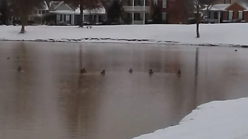 Mississippi 302 route in Horn Lake, MS