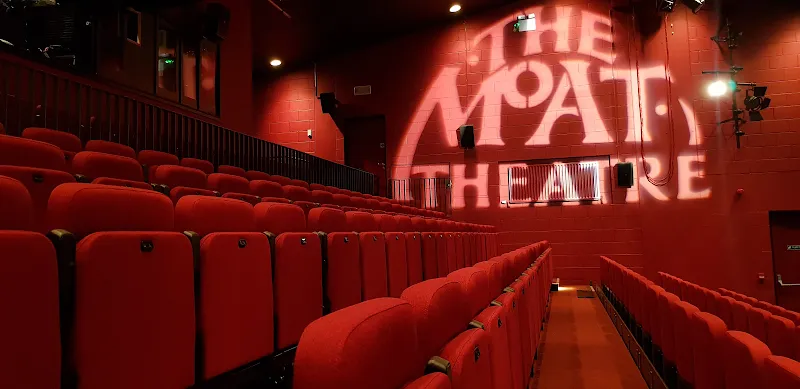 Moat Theatre & Café performing arts theater in Naas, D
