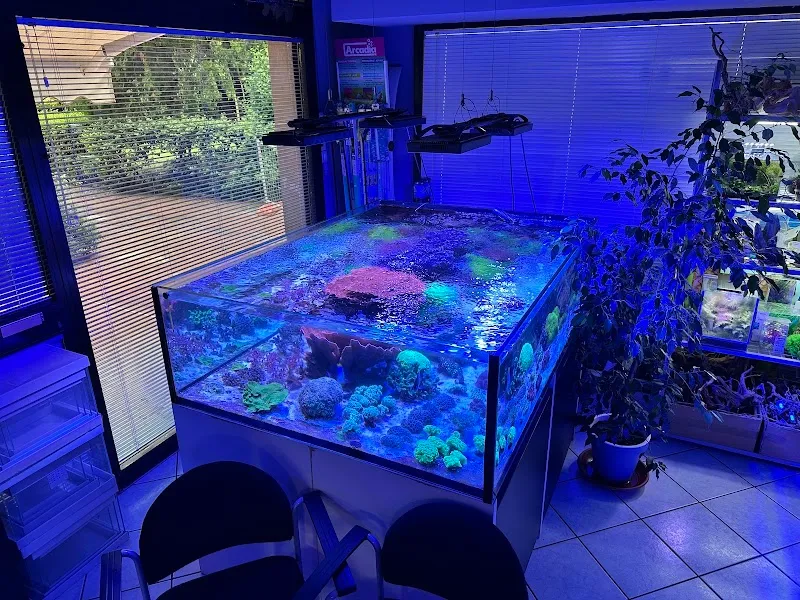 Mondo Acquario Snc Di Gherardotti & Ortolani pet store in Florence, TC
