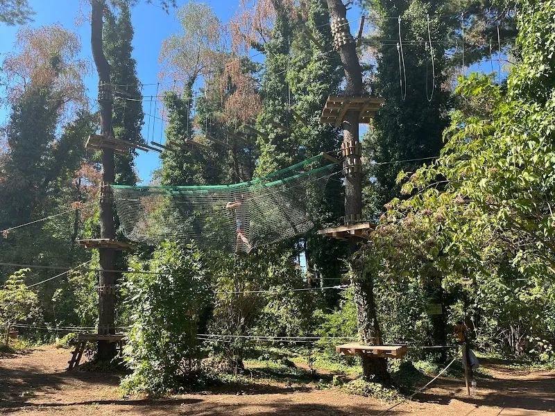 Monkey Park Arese - Parco Avventura vicino a Milano amusement center in Arese, Lombardy