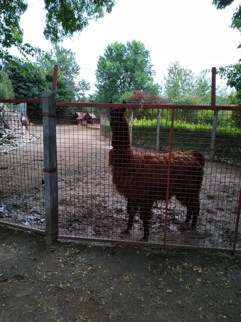 Monor Petting Farm Experience farm in Monor, Budapest