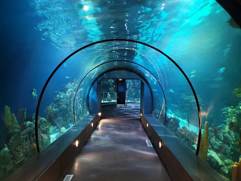 Moody Gardens Attractions Theme Park amusement park in Houston, TX