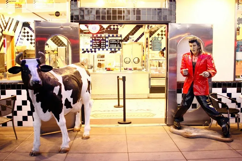 MooTime Creamery Ice Cream & Frozen Yogurt in Coronado, CA