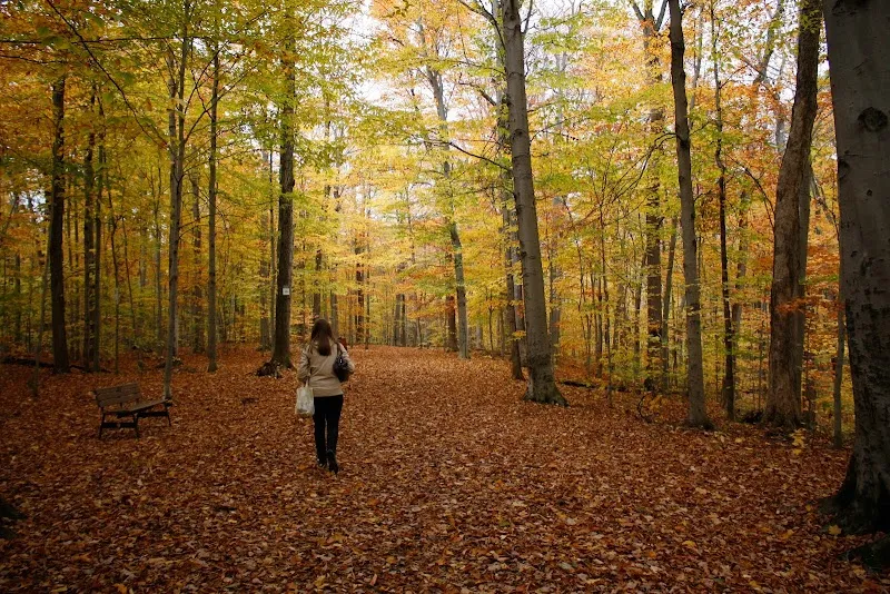 Morgan Arboretum tourist attraction in Pointe-Claire, QC