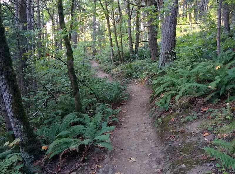 Mount Talbert Nature Park park in Happy Valley, OR