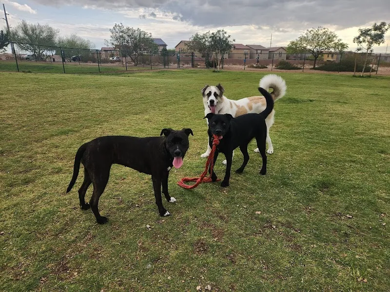 Mountains Edge Dog Park dog park in Mountains Edge, NV