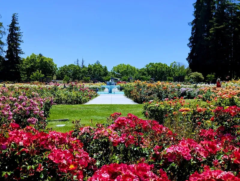 Municipal Rose Garden garden in San Jose, CA