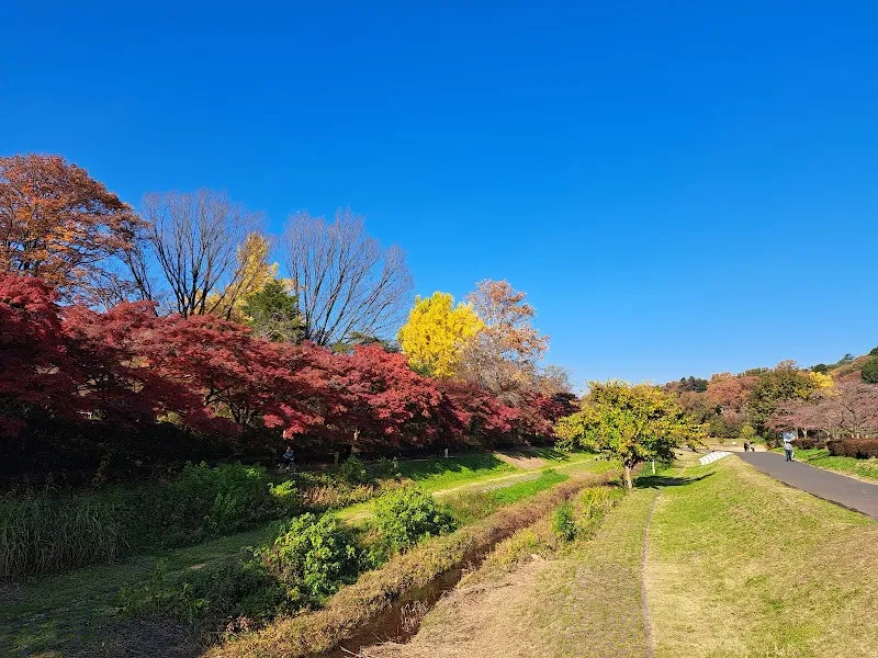 Musashino Park park in Musashino, Tokyo