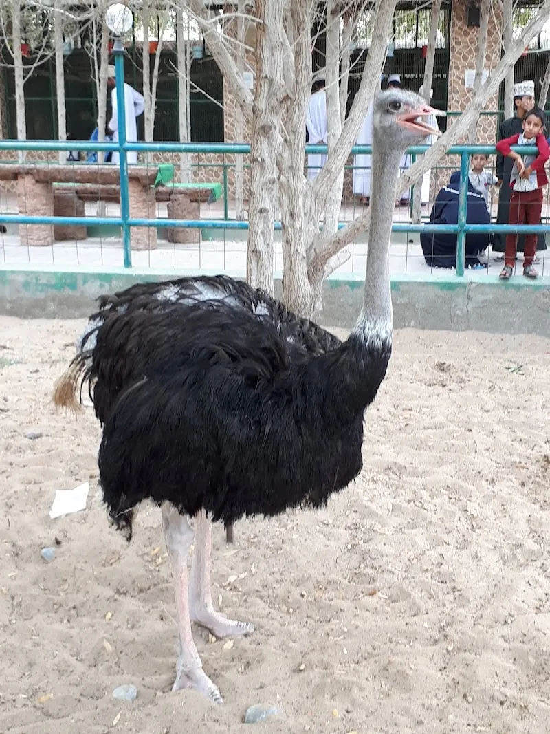 Muscat Zoo zoo in Muscat, MUS