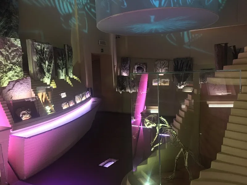 Museo di Storia Naturale Giancarlo Ligabue (Fondaco dei Turchi) tourist attraction in Venice, VN