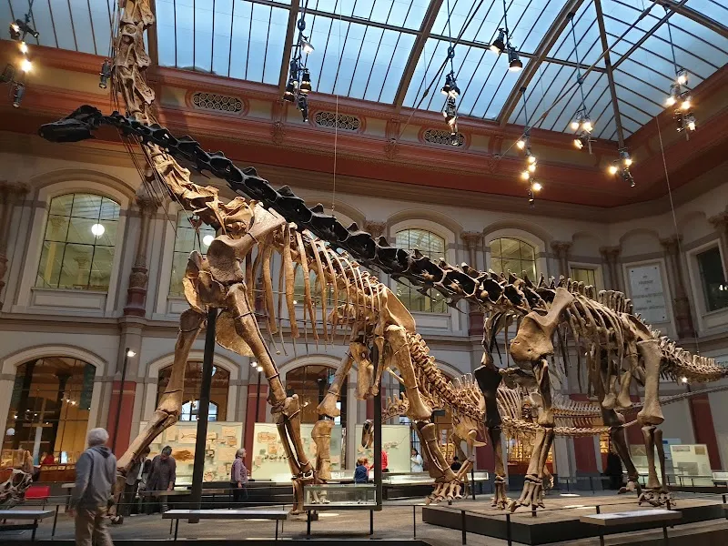 Museum für Naturkunde Berlin research institute in Berlin, BE