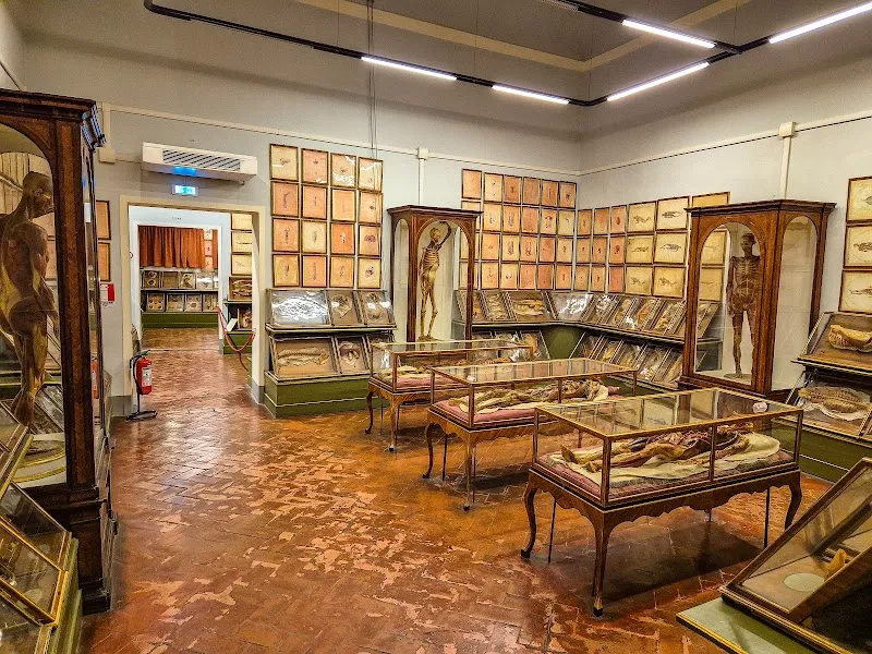 Museum of Natural History, La Specola tourist attraction in Florence, TC