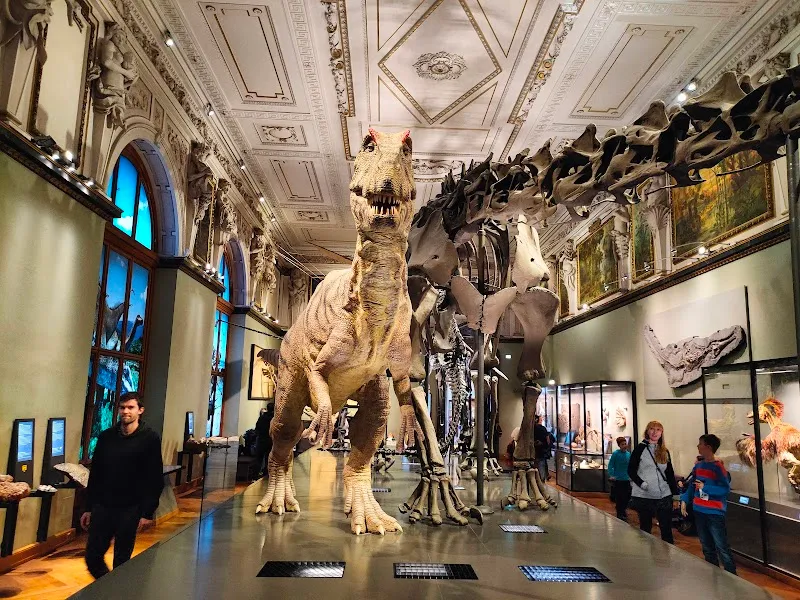 Museum of Natural History Vienna tourist attraction in Vienna, W