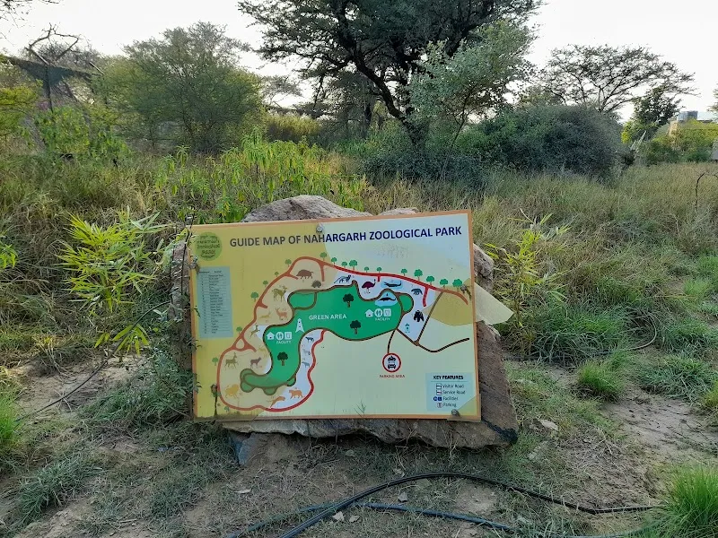 Nahargarh Biological Park zoo in Amber, RJ