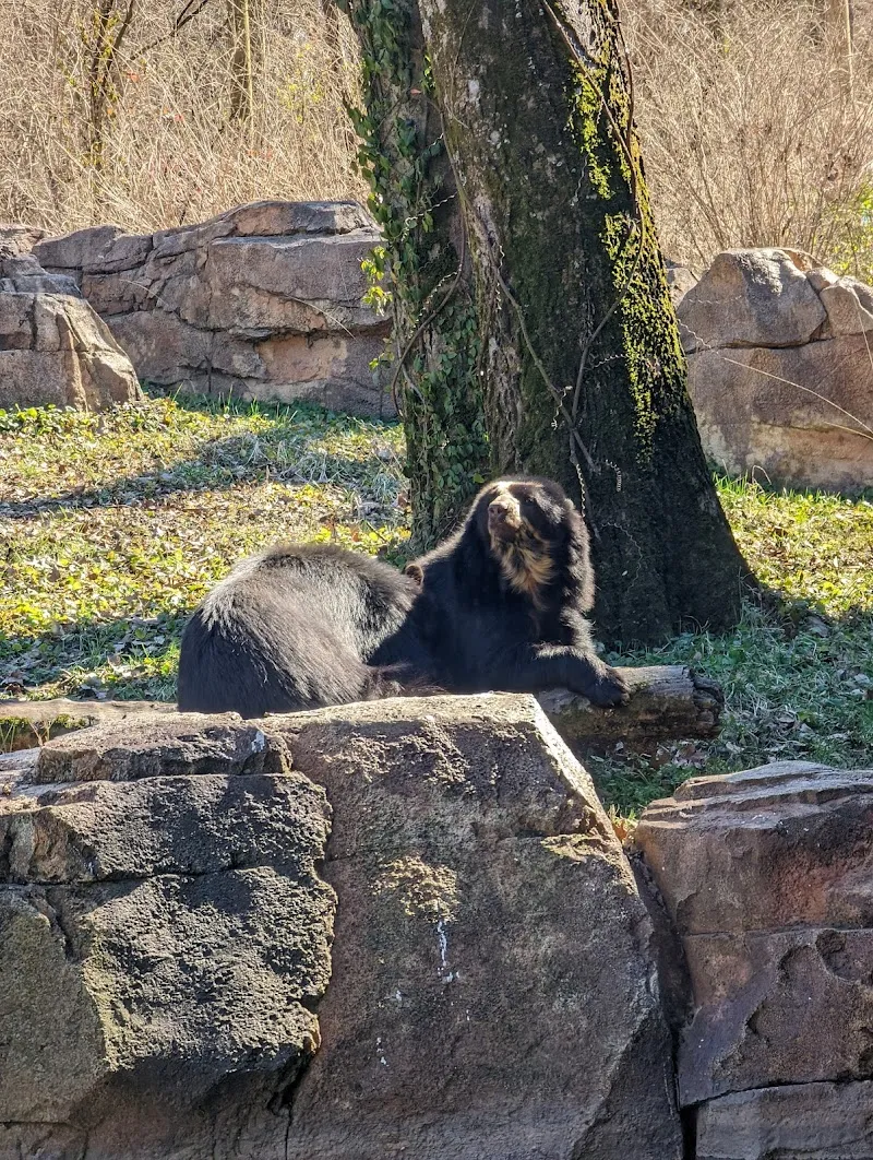 Nashville Zoo at Grassmere zoo in Nashville, TN