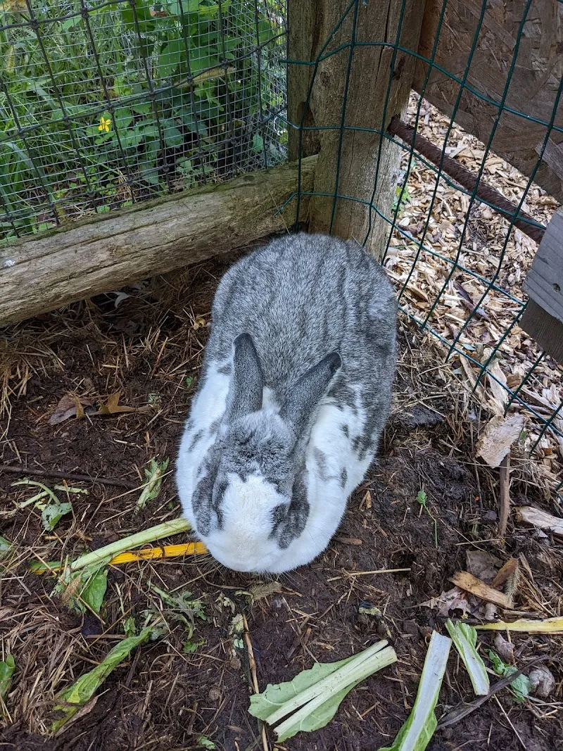 Natick Community Organic Farm farm in Natick, MA