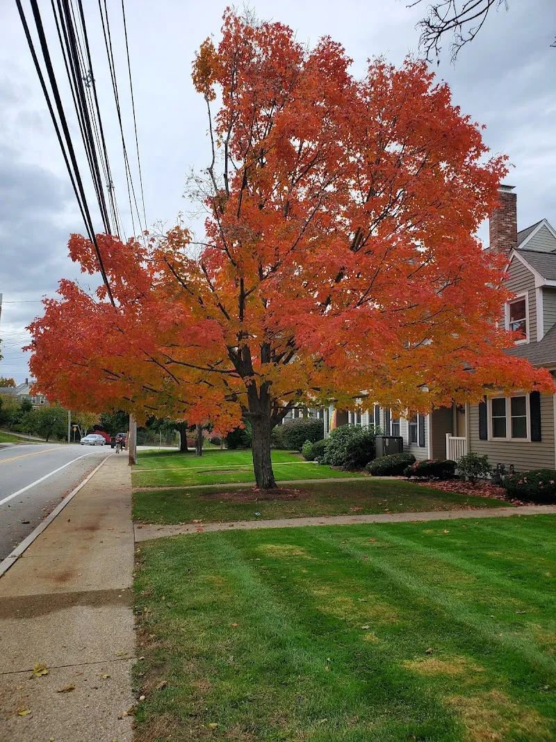 Natick Community-Senior Center service in Natick, MA