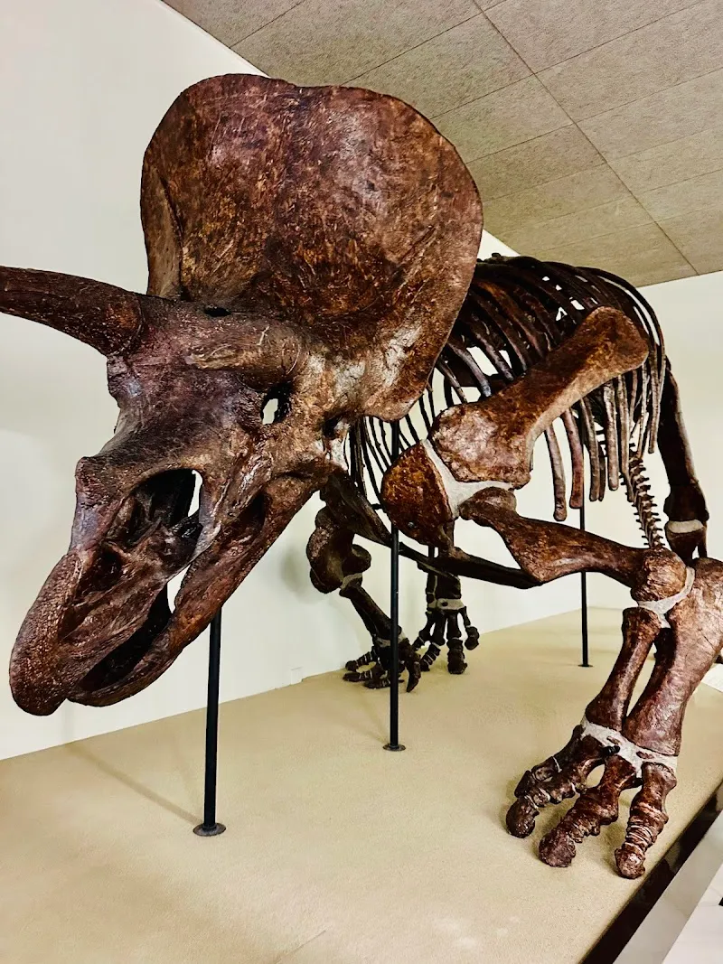 National Museum of Natural History Goulandris tourist attraction in Kifisia, AT