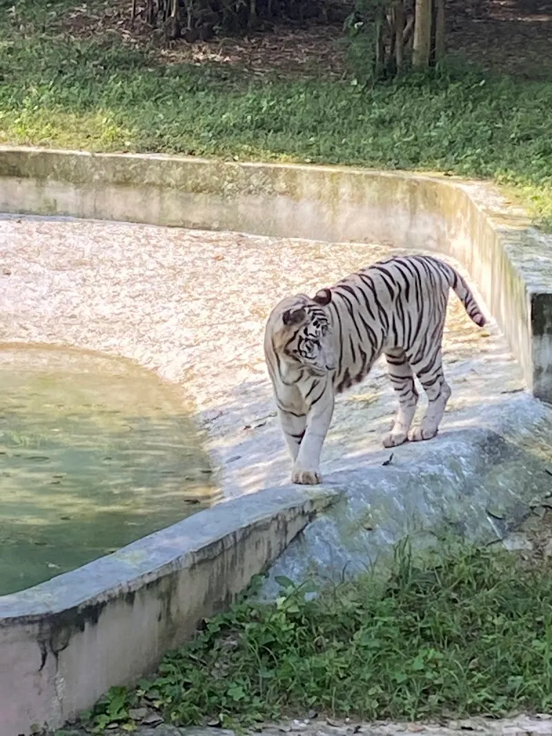 National Zoological Park, Delhi zoo in Delhi, DL