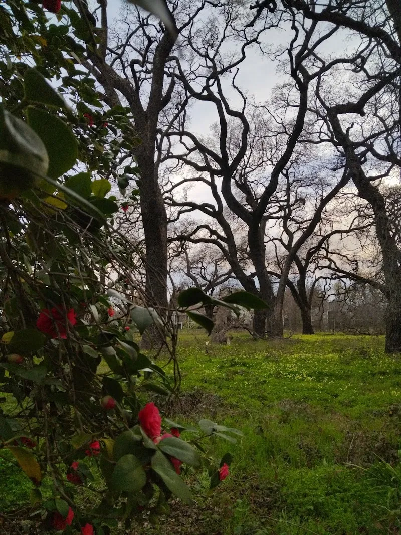 Natomas Park neighborhood in Natomas, CA