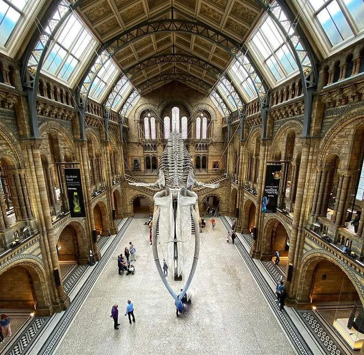 Natural History Museum tourist attraction in London, LDN