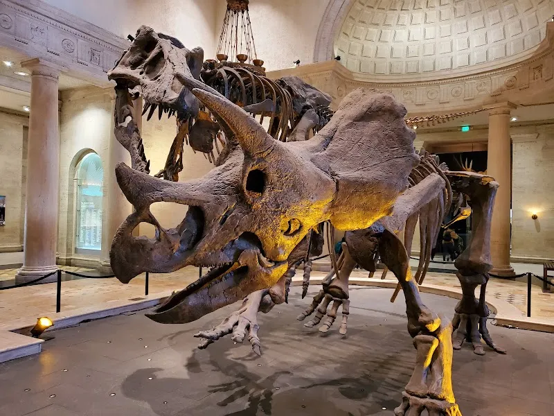 Natural History Museum of Los Angeles County tourist attraction in Los Angeles, CA