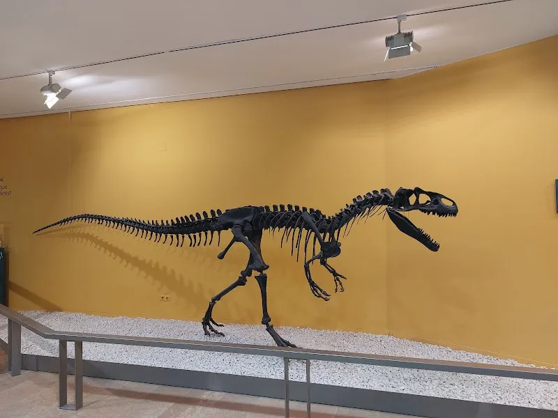 Natural Science Museum of Valencia tourist attraction in Valencia, VC