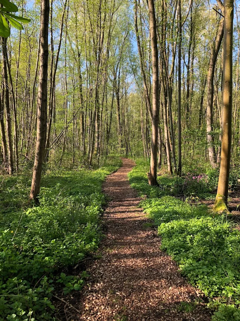 Nature Park Spoorzicht park in Diemen, NH
