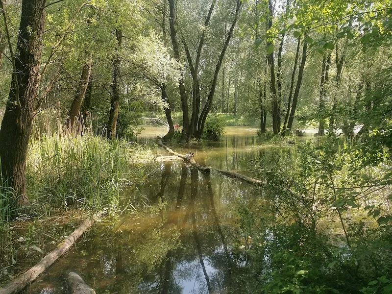 Naturschutzgebiet Donauauen nature in Stockerau, VIE