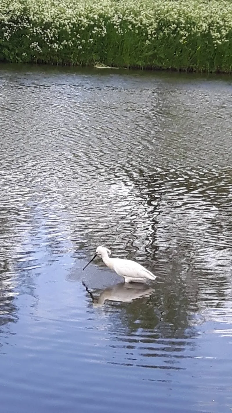 Natuurpark de Broeckgouw park in Volendam, NH