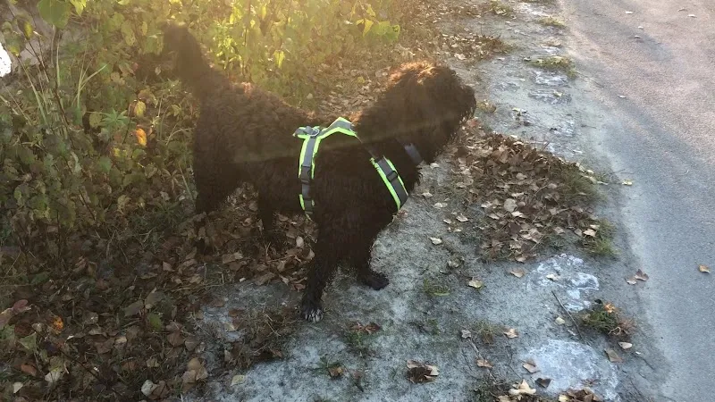 Neue Donau Beach Areas beach in Leopoldau, VIE