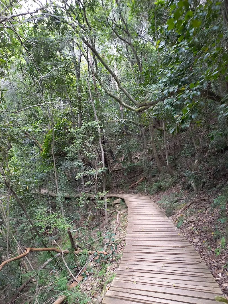 Newlands Forest Hiking Trail hiking area in Newlands, WC